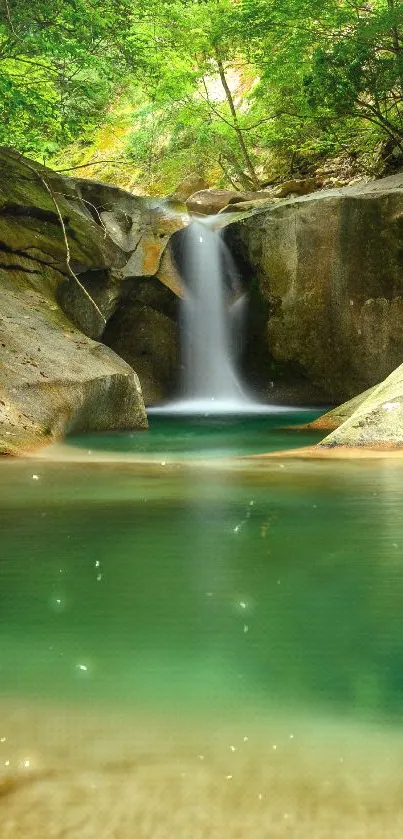 Serene waterfall amidst lush forest with tranquil waters.