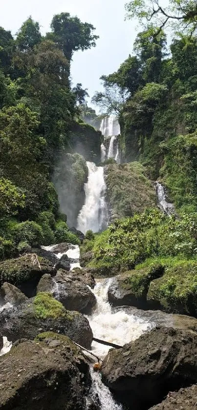 Lush green forest wallpaper with waterfall and rocks.