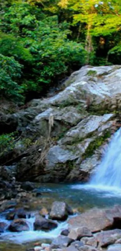 Serene waterfall in a lush green forest landscape.