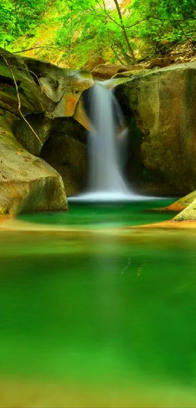 Serene waterfall in lush green forest wallpaper.