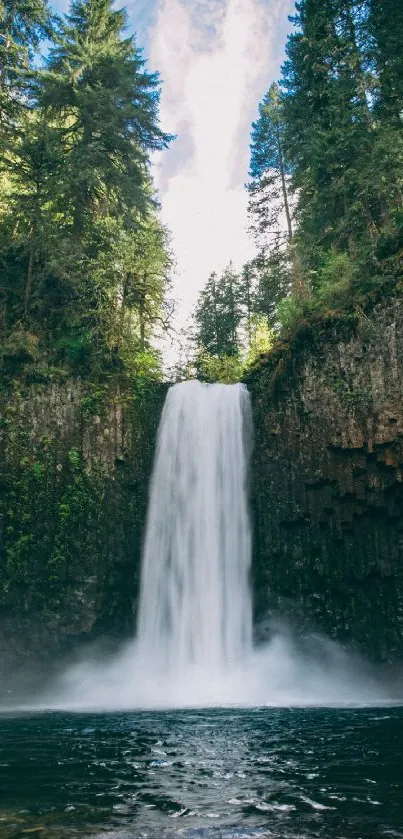 Majestic waterfall in a lush green forest, perfect for a calming mobile wallpaper.