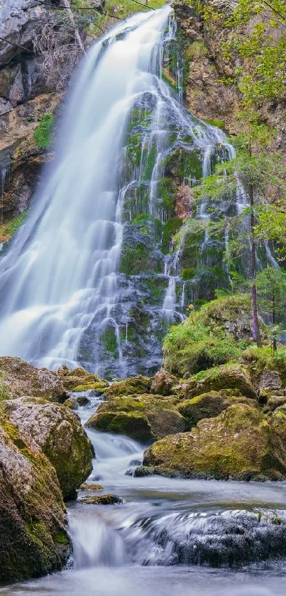 Serene waterfall in a lush forest setting wallpaper.
