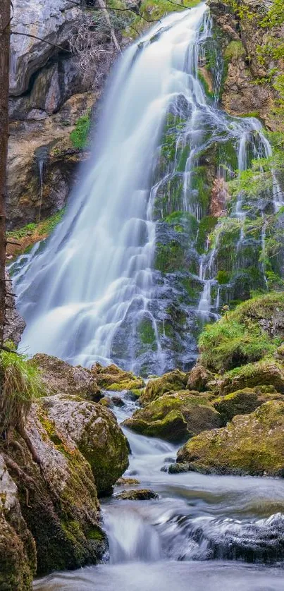 Tranquil waterfall in a lush, green forest setting.