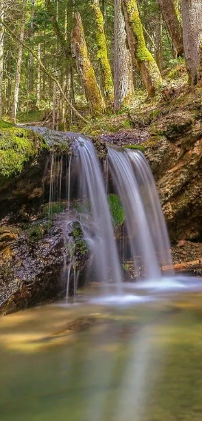 Serene waterfall flowing in a lush forest setting.