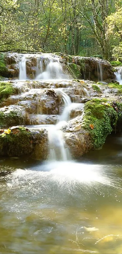 Serene waterfall in a lush green forest setting.