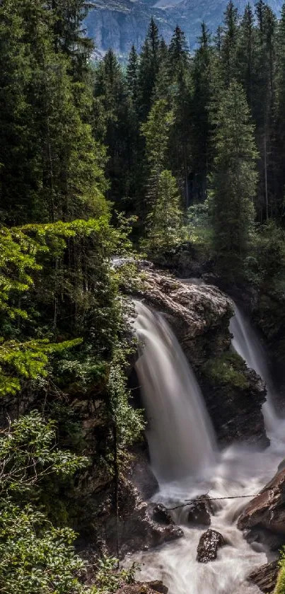 Serene waterfall amidst lush forest greenery.