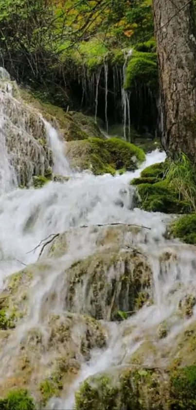 Serene forest waterfall with lush greenery and cascading water in natural setting.