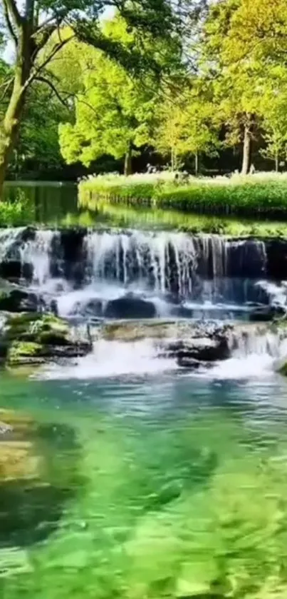 Scenic waterfall in a lush green forest under sunlight.