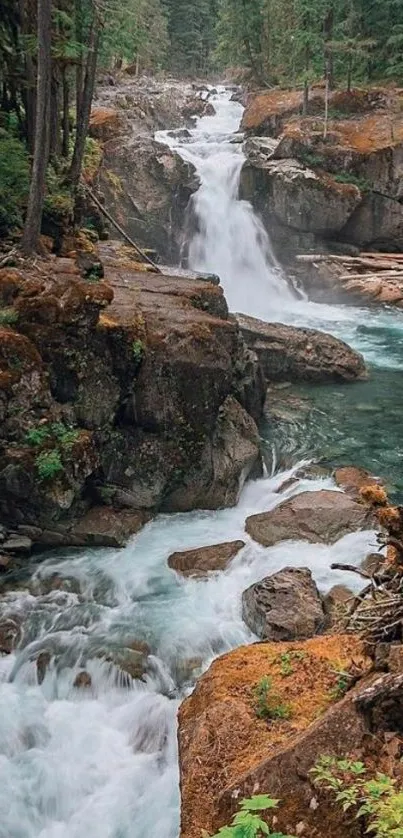 Serene waterfall cascading through a lush forest landscape.