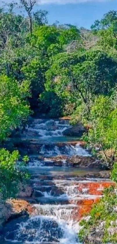 Lush green forest with cascading waterfall for phone wallpaper.