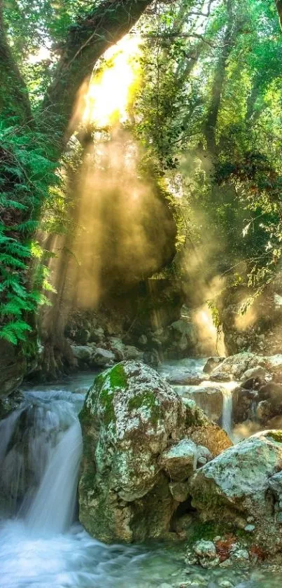 Serene forest waterfall with sunrays and lush greenery.