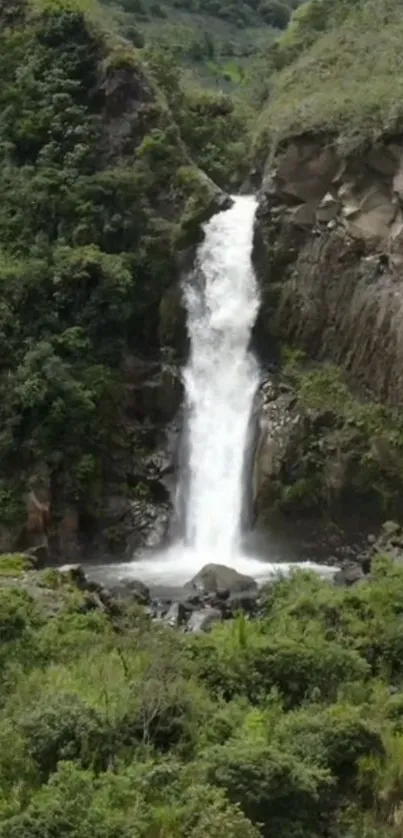 Serene waterfall amid lush green forest landscape.