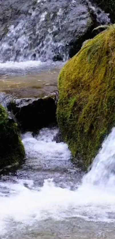 Mobile wallpaper with a serene forest waterfall and green moss.