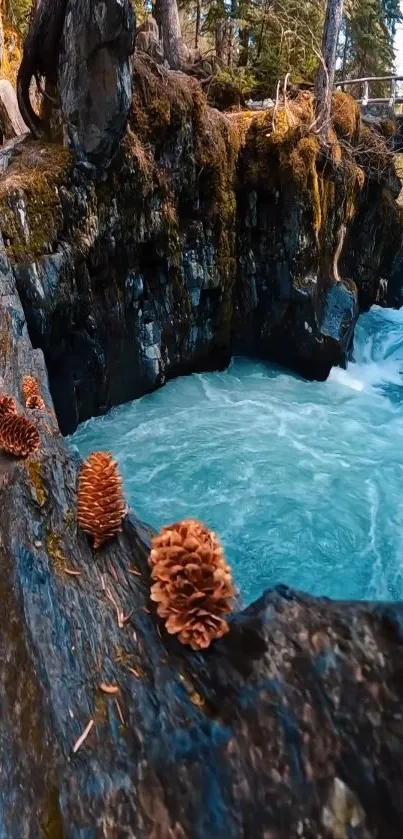 Forest waterfall with turquoise water and pinecones.