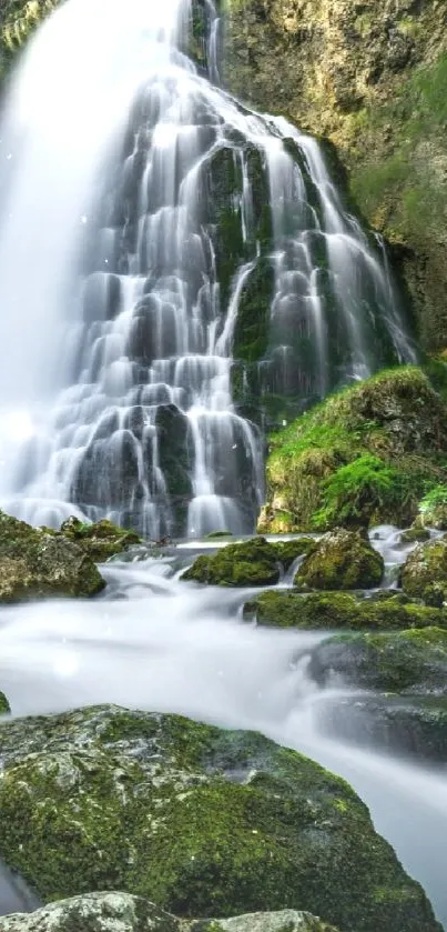 Tranquil forest waterfall with lush greenery.