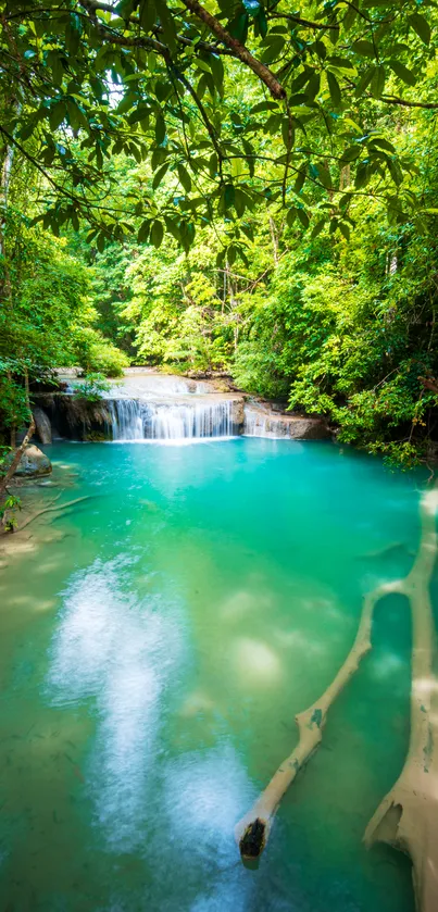 Serene forest waterfall with turquoise water and lush greenery.