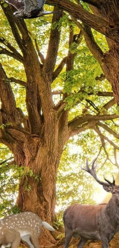 Serene forest with deer and hawk under a sunlit canopy.