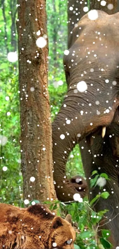 Elephant and bear in snowy forest scenery.