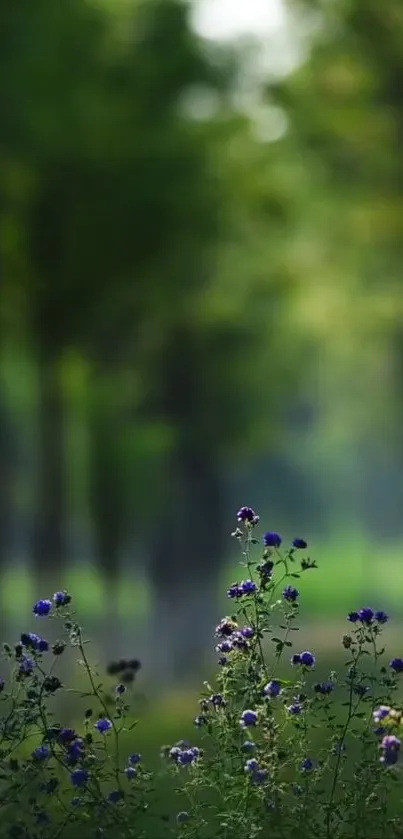 Serene forest with wildflowers in foreground.