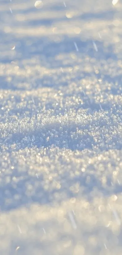Serene frosty morning wallpaper with glistening snow texture.