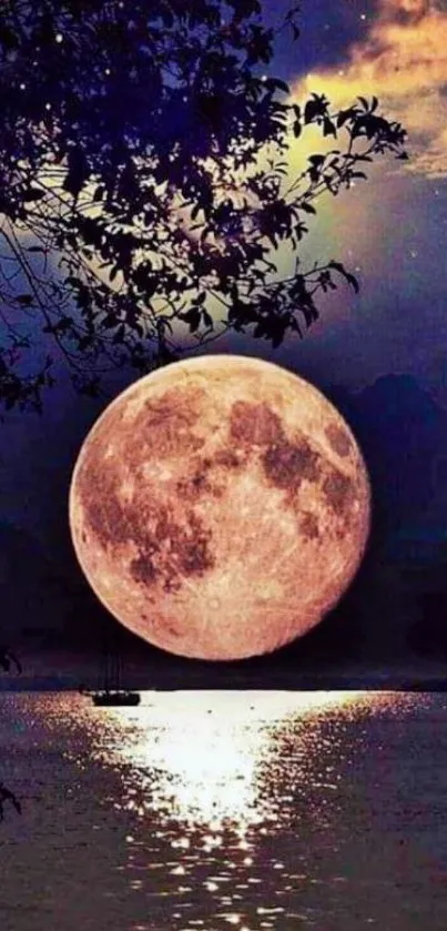 Full moon reflecting on calm water with a starry night sky backdrop.