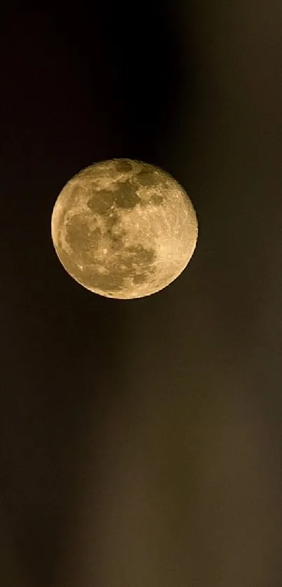 Full moon against a dark night sky wallpaper.