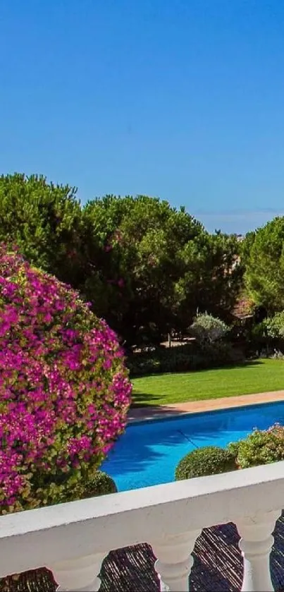 Garden view from balcony with blue sky and vibrant flowers.