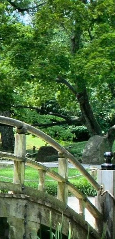 Serene garden bridge surrounded by lush green trees and foliage.