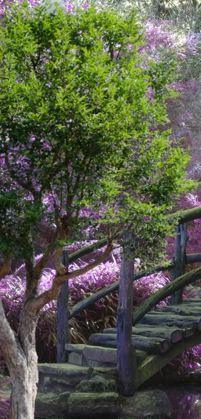 Serene garden bridge with vibrant purple and lush green foliage.