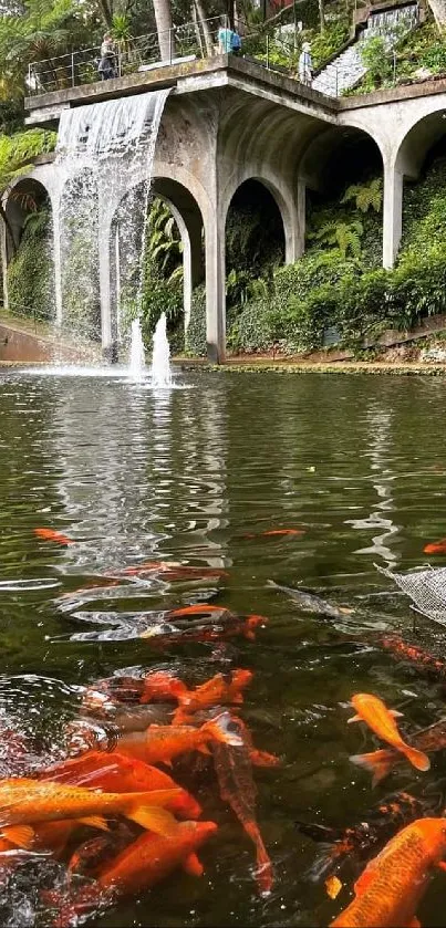 Koi fish swim beneath a garden waterfall in a serene setting.