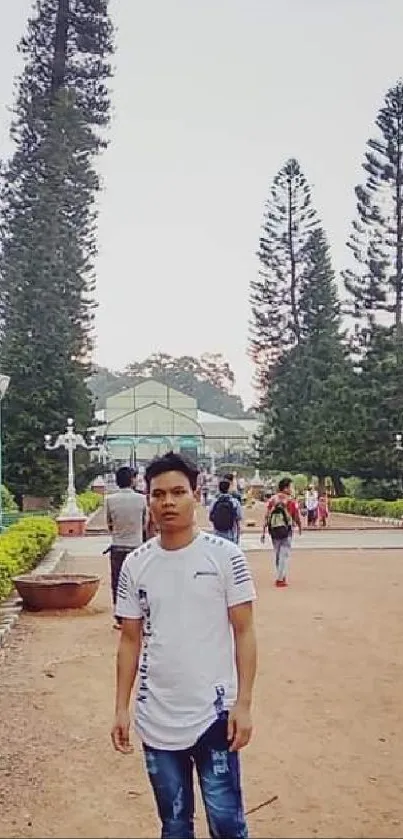 Person standing on a serene garden path surrounded by lush trees.