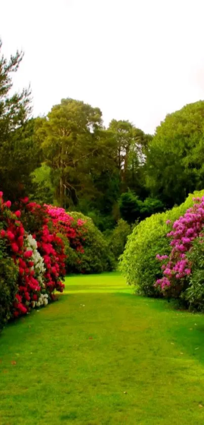 Lush green garden path with vibrant flowers on both sides.