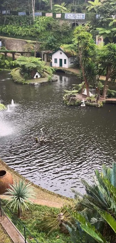 A serene garden pond with lush greenery and a tranquil water view.