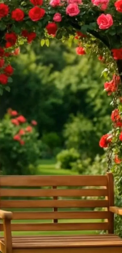 Wooden bench under a rose arch in a tranquil garden.