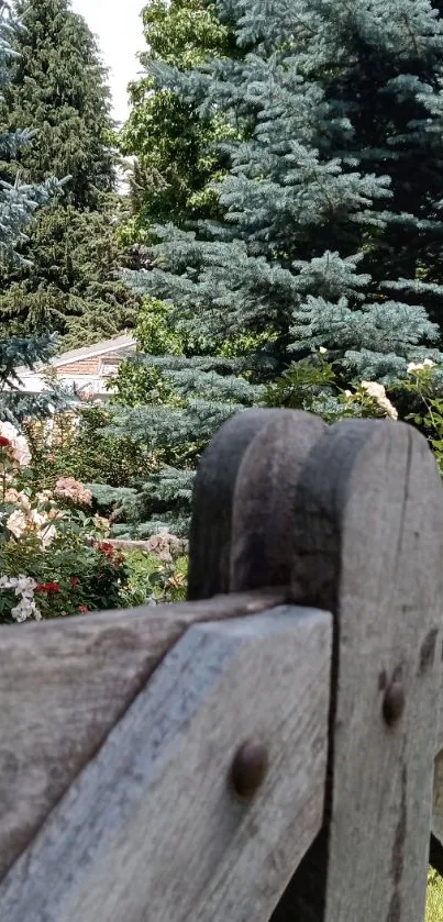 Serene garden with a wooden fence and lush trees.