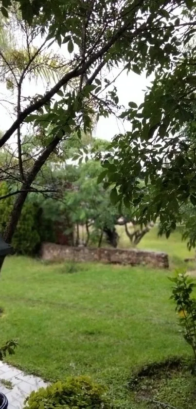 Serene garden view with lush greenery and a peaceful outdoor setting.