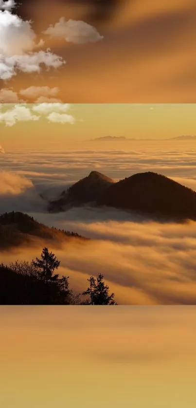 Golden sunset over misty mountains with clouds.