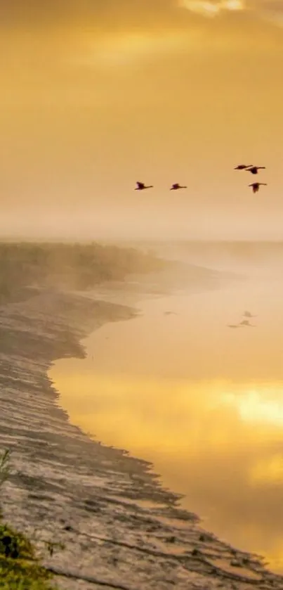 Golden sunrise over a tranquil lake with silhouetted birds in flight.