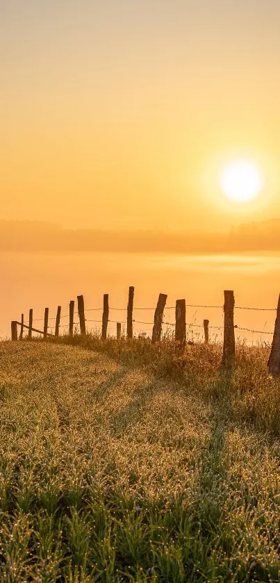 Golden sunrise over grassy field with rustic fence.