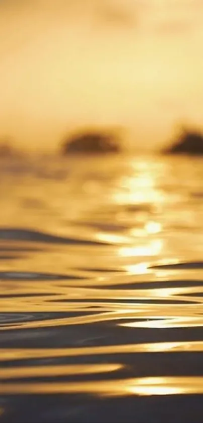 Serene golden sunset over rippling water.