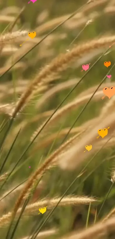 Serene tall grass with colorful hearts, perfect mobile wallpaper.