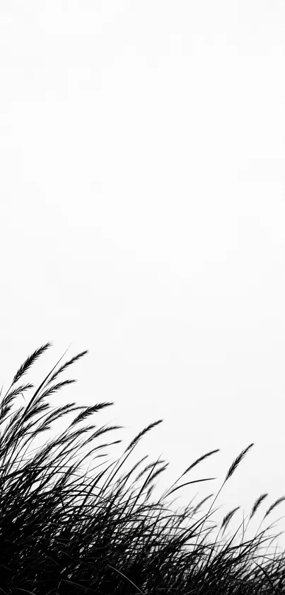 Black and white grass silhouette on minimalist wallpaper.