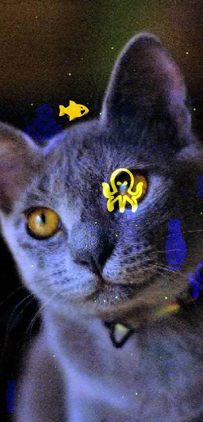 Gray cat with yellow eyes on a dark background wallpaper.