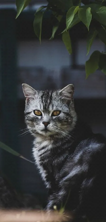 Majestic gray cat sitting in lush greenery with a calm and serene expression.