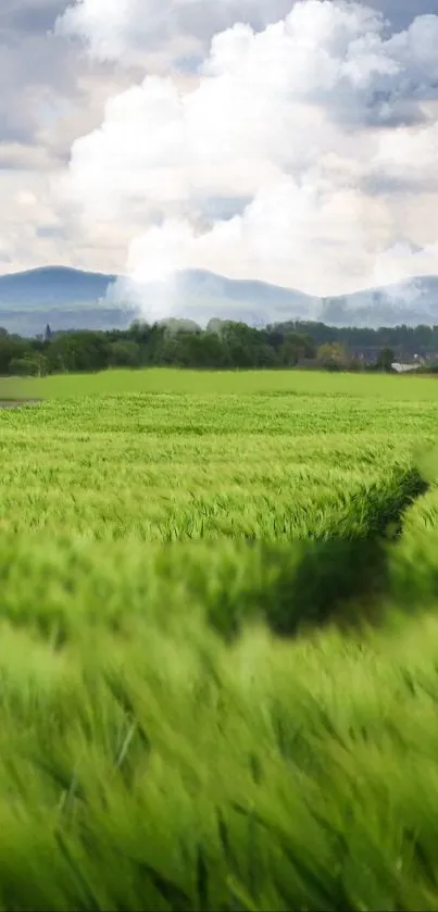 Green field under a cloudy sky with distant hills.