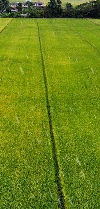 Aerial view of expansive green field under clear sky.