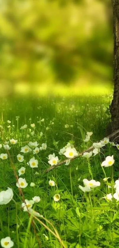 Serene green meadow with white flowers and a tree.