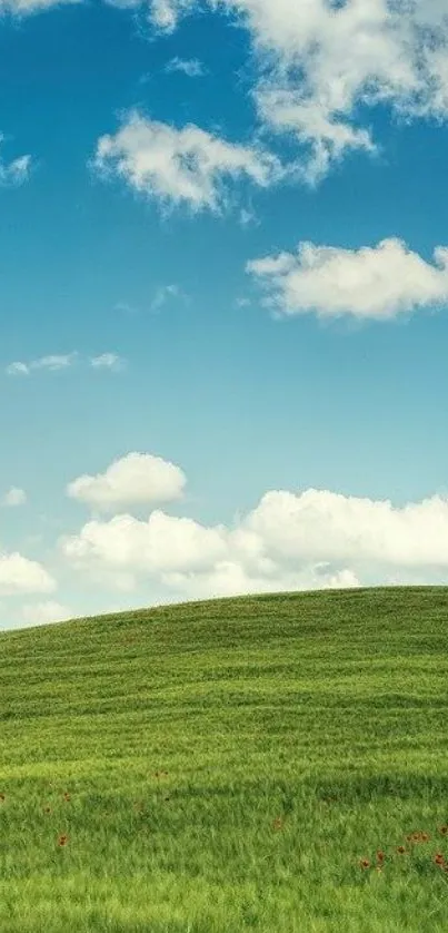 Peaceful green field under a clear blue sky with scattered clouds.