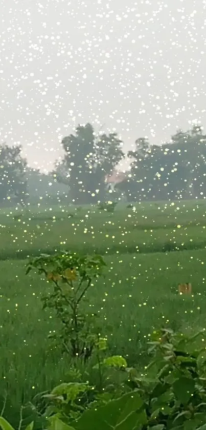 Serene green field with sparkling lights and trees.