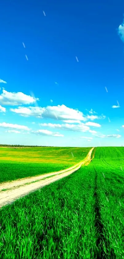 Serene green field with blue sky mobile wallpaper.